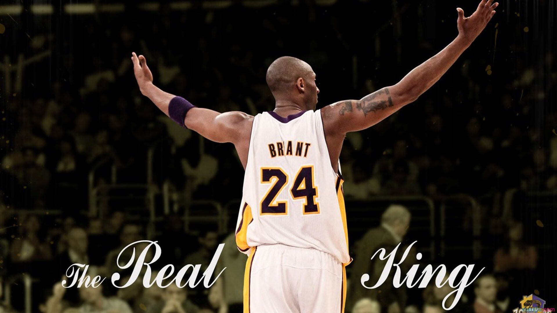 足球赛场激情四射